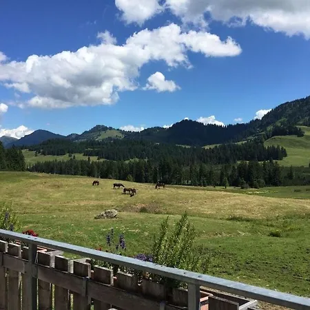 Alpchalet Staufner Quelle Appartement *