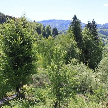 Alpchalet Staufner Quelle Appartement *