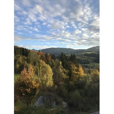Alpchalet Staufner Quelle شقة