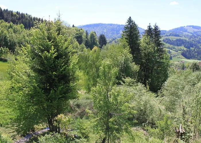 Alpchalet Staufner Quelle Apartament *